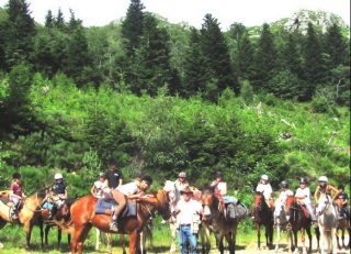  Caminata ecuestre con amigos 